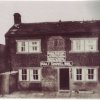 Malt Shovel Coley